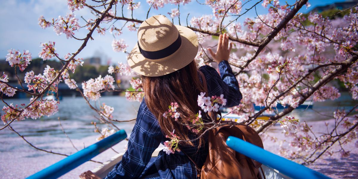 Pesach in Japan: A Unique Cultural Experience